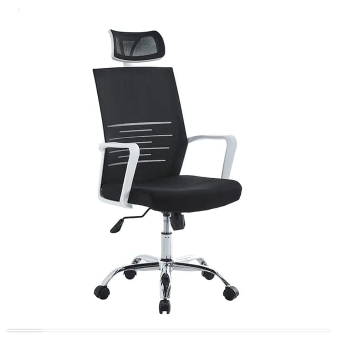 Ergonic Chair