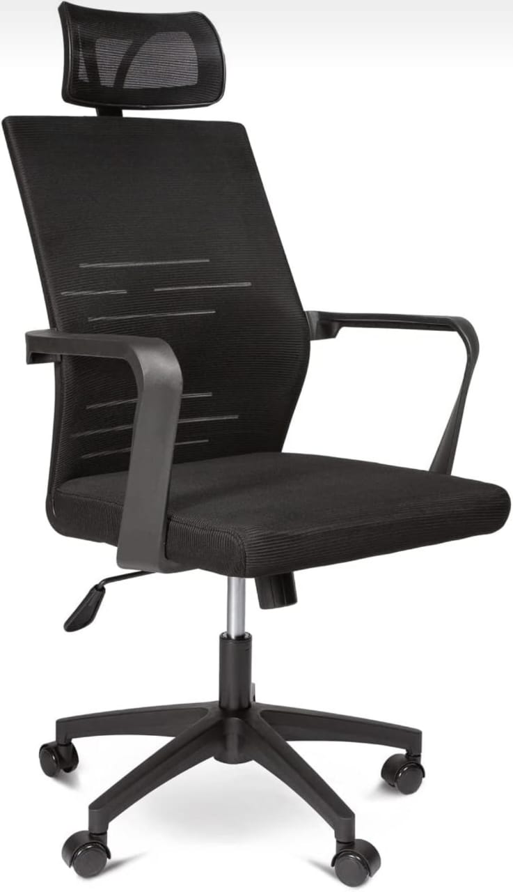 Ergonic Chair
