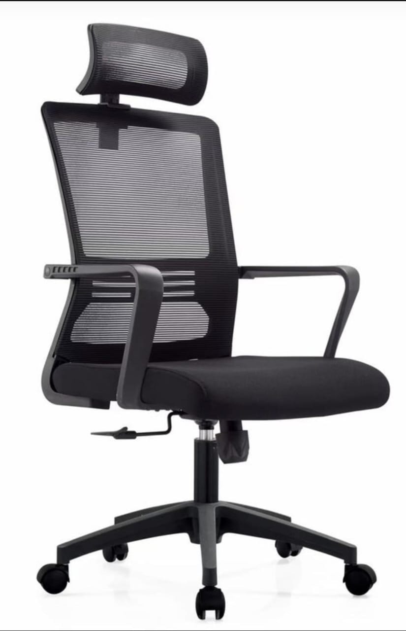 Ergonic Chair